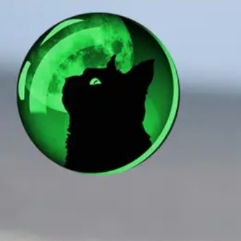 Beautiful Luminescent Black Cat Necklace Glows In The Dark Lk